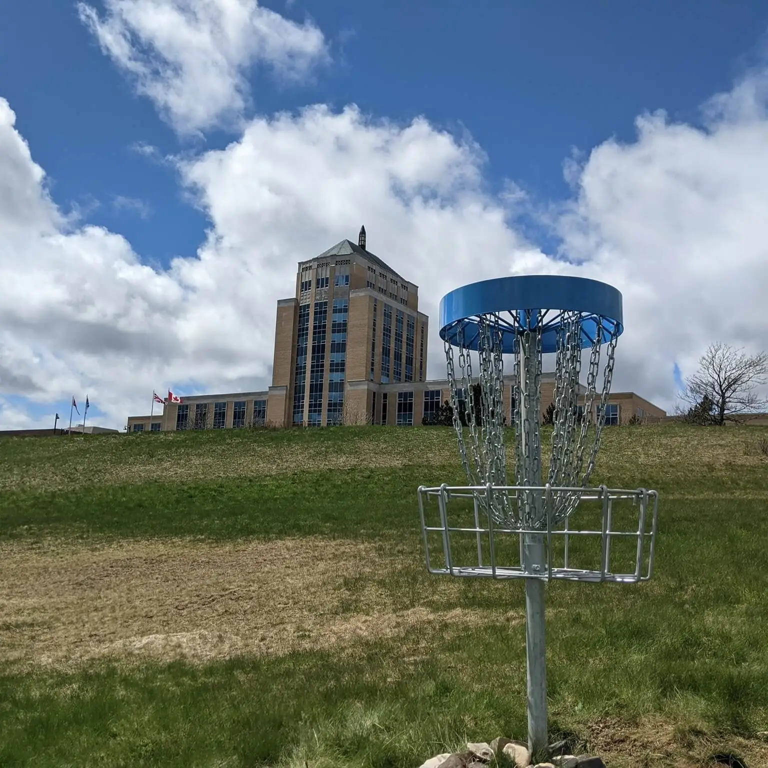 Disc Golf in NL